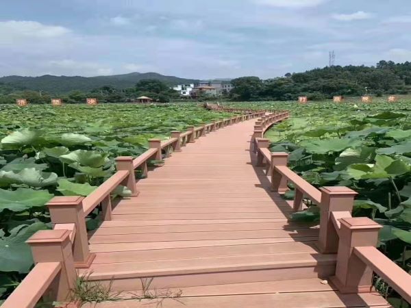 1674045694671425.jpg 木塑栈道施工案例.jpg